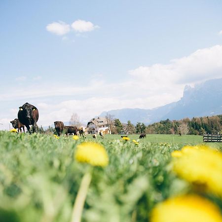 Alpin Farm Birke - Oberweidacherhof Collalbo Eksteriør billede